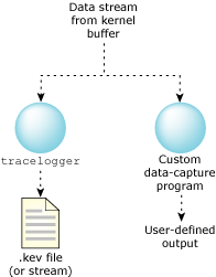 Data capture